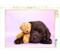 CALVENDO Puzzle Labrador Retriever Welpe / Labrador Retriever Puppy 1000 Teile Puzzle quer 1000 Pieces 64 x 48 cm from Jeanette Hutfluss