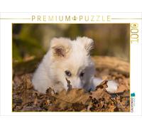 CALVENDO Puzzle Chiot 1 - Chien islandais 1000 Pieces 64 x 48 cm from Monika Scheurer