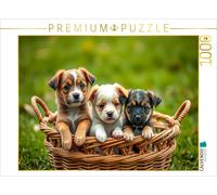 Puzzle · Chiots croisés | Mélanges de promenades craquants · 1000 pièces · Format assemblé 64 × 48 cm · CALVENDO Puzzle