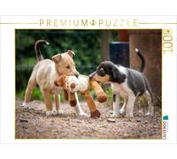 Puzzle CALVENDO Chiots de colley à poil court | 1000 pièces, format assemblé 64