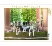 Puzzle CALVENDO Cinq Silken Windsprite | 1000 pièces, format assemblé 64 × 48 cm