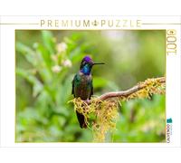 Puzzle CALVENDO Colibri à couronne violette, Costa Rica | 1000 pièces, format as