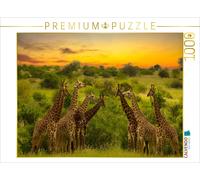 Puzzle CALVENDO Collection de girafes | 1000 pièces, format assemblé 64 × 48 cm