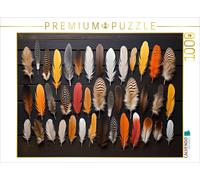Puzzle CALVENDO Collection de plumes - plumes multicolores arrangées | 1000 pièc