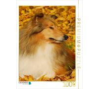 CALVENDO Puzzle Collie - Couleurs d'automne 1000 Pieces 48 x 64 cm from Sista-Tierfoto