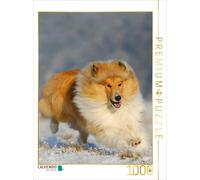 Puzzle CALVENDO Collie - Les joies de l'hiver | 1000 pièces, format assemblé 64