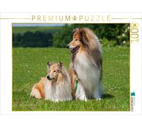 CALVENDO Puzzle Collie - mâle et Femelle 1000 Pieces 64 x 48 cm from Sista-Tierfoto