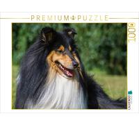 CALVENDO Puzzle Collie - Portrait d'un mâle 1000 Pieces 64 x 48 cm from Sista-Tierfoto