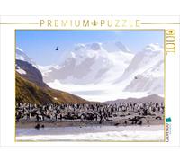 CALVENDO Puzzle Pinguin Kolonie im Naturparadies Antarktis 1000 Teile Puzzle quer 1000 Pieces 64 x 48 cm from Max Steinwald
