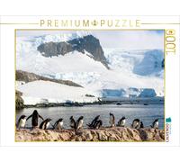 CALVENDO Puzzle Pinguin Kolonie im Naturparadies Antarktis 1000 Teile Puzzle quer 1000 Pieces 64 x 48 cm from Max Steinwald