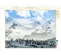 CALVENDO Puzzle Pinguin Kolonie im Naturparadies Antarktis 1000 Teile Puzzle quer 1000 Pieces 64 x 48 cm from Max Steinwald