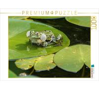 Puzzle CALVENDO Concert de grenouilles | 1000 pièces, format assemblé 64 × 48 cm