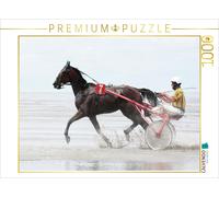 CALVENDO Puzzle Nasse Fahrt 1000 Teile Puzzle quer 1000 Pieces 64 x 48 cm from Max Watzinger - traumbild