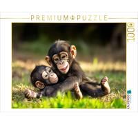 Puzzle CALVENDO Connecté à la force du singe | 1000 pièces, format assemblé 64 ×