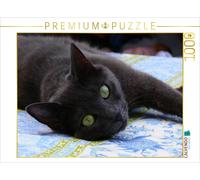 Puzzle CALVENDO convivialité | 1000 pièces, format assemblé 64 × 48 cm | Puzzle