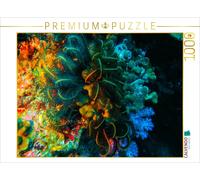 Puzzle CALVENDO Corail dur et étoile filante | 1000 pièces, format assemblé 64 ×