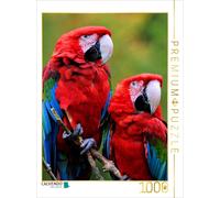 Puzzle CALVENDO Couples d'ara à ailes vertes | 1000 pièces, format assemblé 64 ×