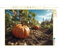 Puzzle CALVENDO Courge dans une plate-bande au soleil | 1000 pièces, format asse