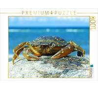 Puzzle CALVENDO Crabe de rivage | 1000 pièces, format assemblé 64 × 48 cm | Puzz