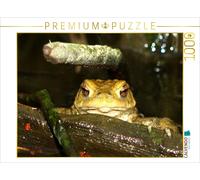 Puzzle CALVENDO crapaud commun | 1000 pièces, format assemblé 64 × 48 cm | Puzzl