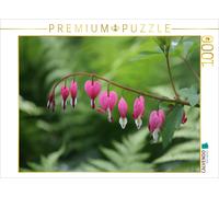 CALVENDO Puzzle Tränendes Herz 1000 Teile Puzzle quer 1000 Pieces 64 x 48 cm from SchnelleWelten