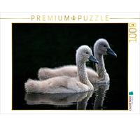 Puzzle CALVENDO Cygne et son petit | 1000 pièces, format assemblé 64 × 48 cm | P