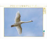 Puzzle CALVENDO Cygne tuberculé (Cygnus olor) | 1000 pièces, format assemblé 64