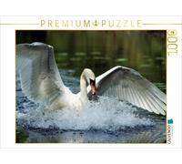 Puzzle CALVENDO Cygne tuberculé. France | 1000 pièces, format assemblé 64 × 48 c