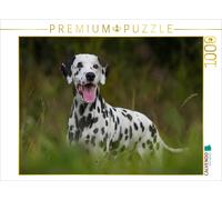Puzzle CALVENDO dalmatien | 1000 pièces, format assemblé 64 × 48 cm | Puzzle pho