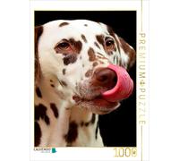 Puzzle CALVENDO dalmatien | 1000 pièces, format assemblé 64 × 48 cm | Puzzle pho