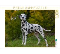 Puzzle CALVENDO Dalmatiens en automne | 1000 pièces, format assemblé 64 × 48 cm