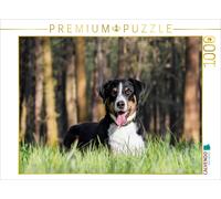 Puzzle · dans la forêt | Chienne de bouvier d'Appenzell Kathinka · 1000 pièces · Format assemblé 64 × 48 cm · CALVENDO Puzzle