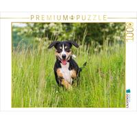 CALVENDO Puzzle dans Les Hautes Herbes 1000 Pieces 64 x 48 cm from Sista-Tierfoto