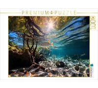 Puzzle CALVENDO Dans les mangroves - poissons tropicaux | 1000 pièces, format as