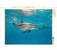 CALVENDO Puzzle Dauphin 1000 Pieces 64 x 48 cm from Sven Gruse