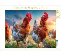 Puzzle CALVENDO De joyeuses poules s'affrontent ici | 1000 pièces, format assemb