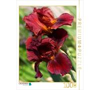 CALVENDO Puzzle Fleurs d'iris oniriques 1000 Pieces 48 x 64 cm from Martina Cross