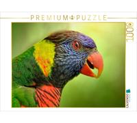 Puzzle CALVENDO De magnifiques perroquets - Lori | 1000 pièces, format assemblé