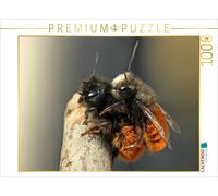 Puzzle CALVENDO Des abeilles maçonnes à cornes (Osmia cornuta) en train de s'acc