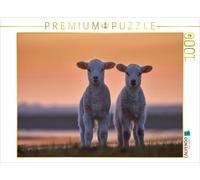 CALVENDO Puzzle Lamm-Zwillinge vor Abendhimmel 1000 Teile Puzzle quer 1000 Pieces 64 x 48 cm from Bodo Balzer