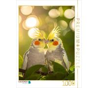 Puzzle CALVENDO Des amis dans la brousse - Perruches calopsittes | 1000 pièces,