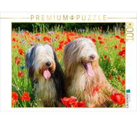 CALVENDO Puzzle Bearded Collies im Mohn 1000 Teile Puzzle quer 1000 Pieces 64 x 48 cm from Christian Müller