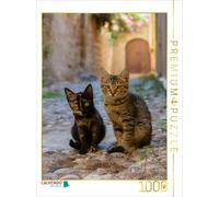 CALVENDO Puzzle Chatons dans Une Ruelle de la Vieille Ville de Rhodes 1000 Pieces 48 x 64 cm from Katho Menden