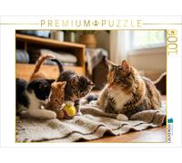 Puzzle CALVENDO Des chatons jouent avec une balle | 1000 pièces, format assemblé