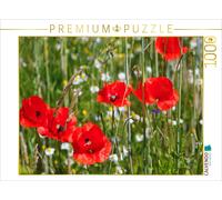 CALVENDO Puzzle Coquelicots au Bord du Champ 1000 Pieces 64 x 48 cm from Anette Jäger