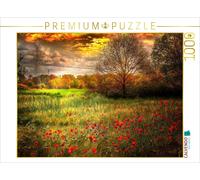 CALVENDO Puzzle Mohnblumen in einem Getreidefeld 1000 Teile Puzzle quer 1000 Pieces 64 x 48 cm from Peter Roder