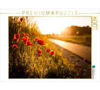 Puzzle CALVENDO Des coquelicots le long de la piste cyclable entre Heßdorf et Gr