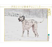 CALVENDO Puzzle Dalmatien dans la Neige 1000 Pieces 64 x 48 cm from Sista-Tierfoto