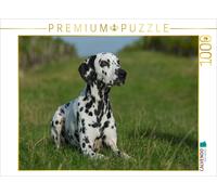 Puzzle CALVENDO Des dalmatiens dans un pré | 1000 pièces, format assemblé 64 × 4