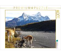 Puzzle CALVENDO Des guanacos devant les Torres del Paine, parc national des Torr